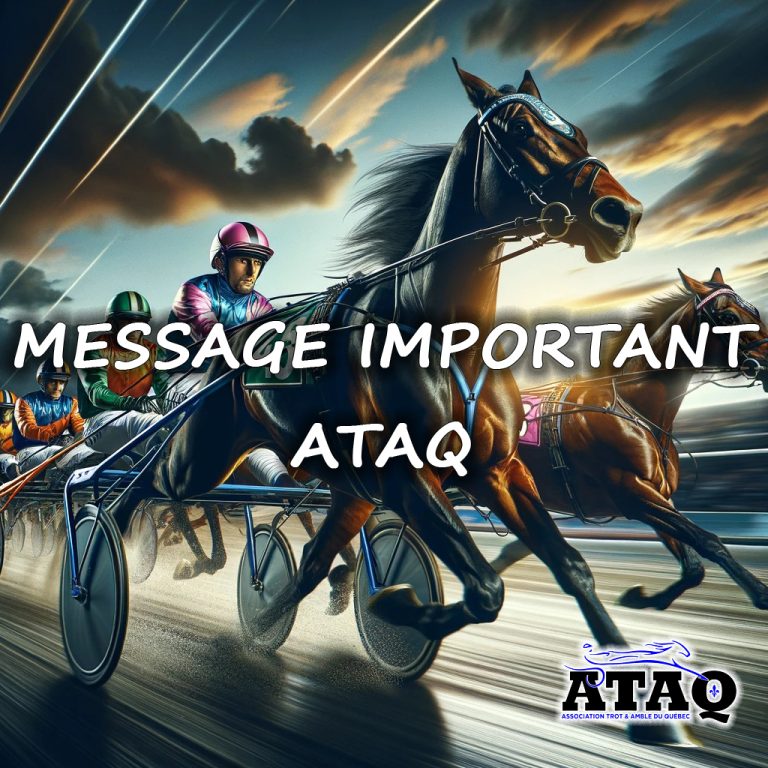 ATAQ – Association Trot Et Amble Du Québec